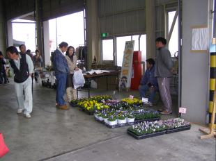 �����ƍՂ�