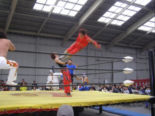 �����ƍՂ�