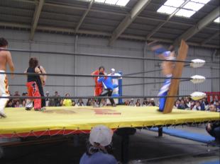 �����ƍՂ�