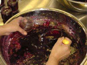 �W�������