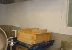 �W�������