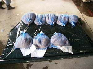 ��q��������