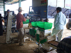 ��܂����