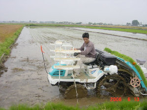 �c�A�����