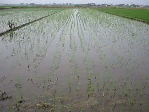 �c�A����