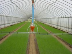 ��c�i�����j