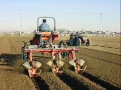 �A���t���a�x���