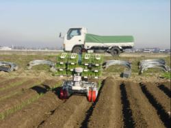 �˂��ڐA���