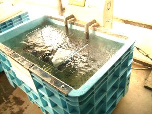 ��q��������