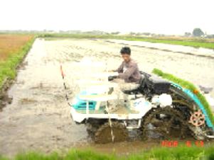 �ڐA�i�c�A���j