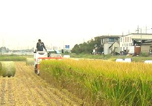 ��������n�@