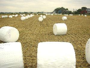 ���b�s���O���ꂽ������