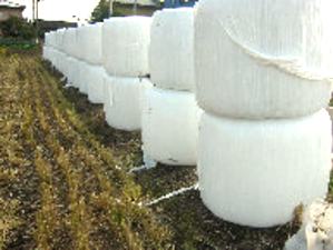 ���悢��o��